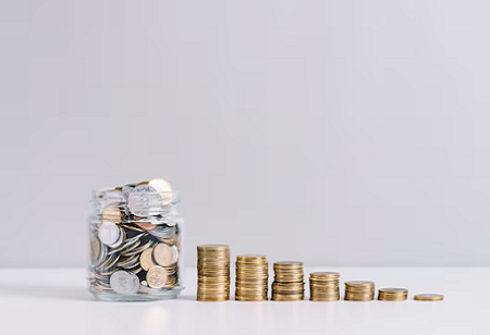 Union Budget 2025 Reduces Census and NPR Funding with Special Provisions